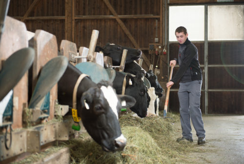 LFA-landwirschaft-ursprung-16-10-14_97