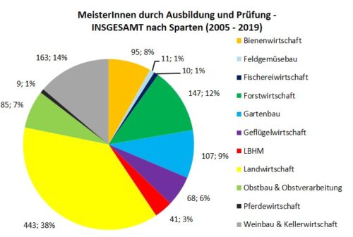 Statistik_M-Abschlüsse_nachSparten_STMK_2005-2019