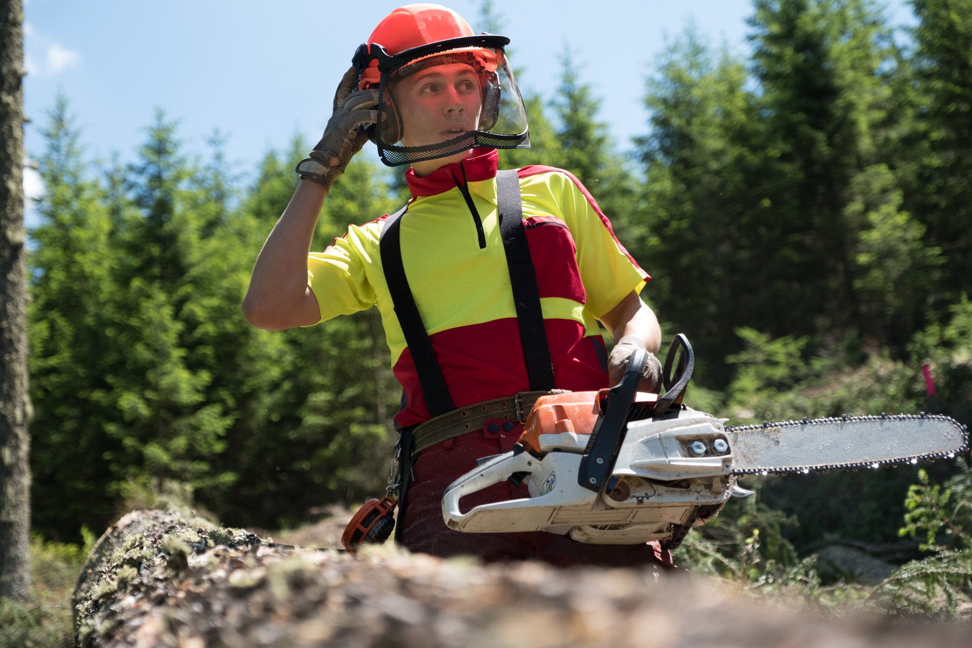 Überblick Ausbildung FacharbeiterInnen Forstwirtschaft Salzburg